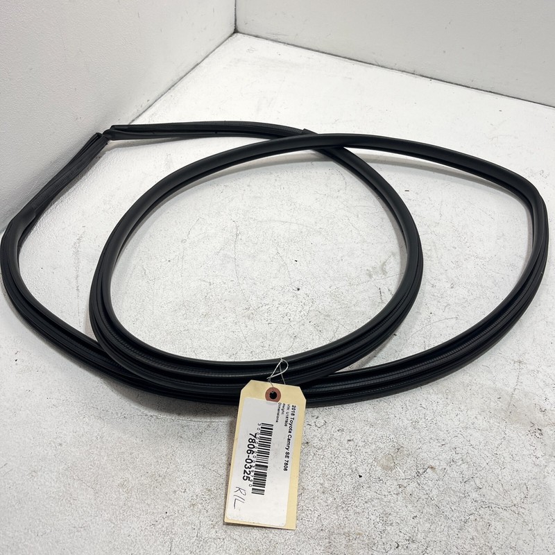 2018-2023 TOYOTA CAMRY SE REAR LEFT DRIVER SIDE DOOR WEATHERSTRIP SEAL OEM