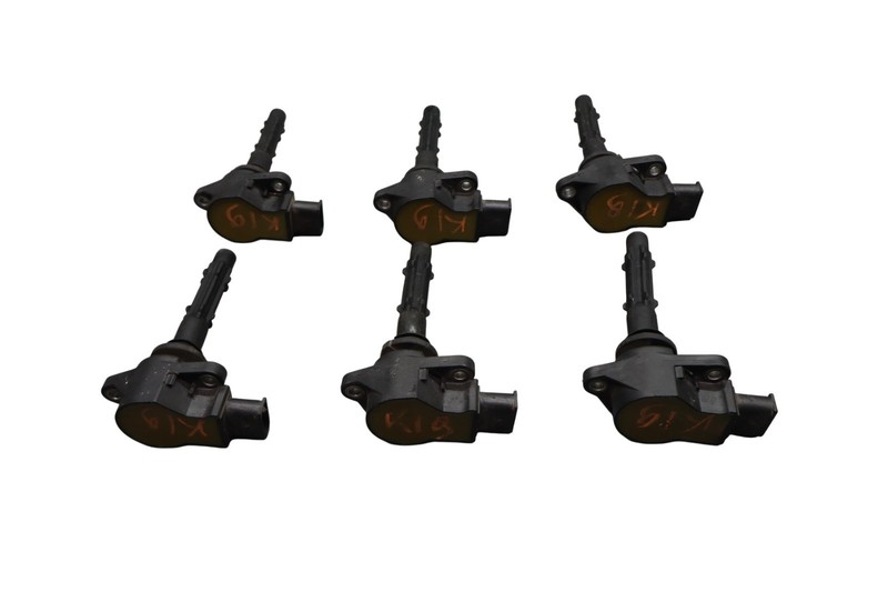 05-13 Mercedes W221 ML350 E350 S400 M272 Ignition Coil Set of 6 0001502780 Oem