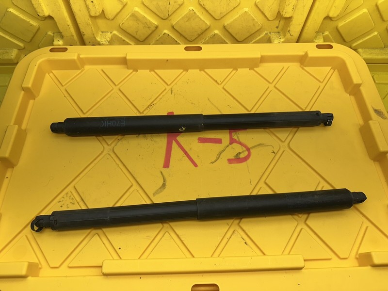 2007-2013 BMW E70 X5 LEFT RIGHT REAR TRUNK DOOR SPINDLE SHOCK STRUT SET OEM