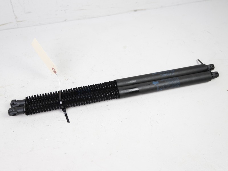 BMW 650I F13 LIFT RIGHT COUPE TRUNK LID SHOCK SUPPORT STRUT SET OEM 2012-2018 🚗
