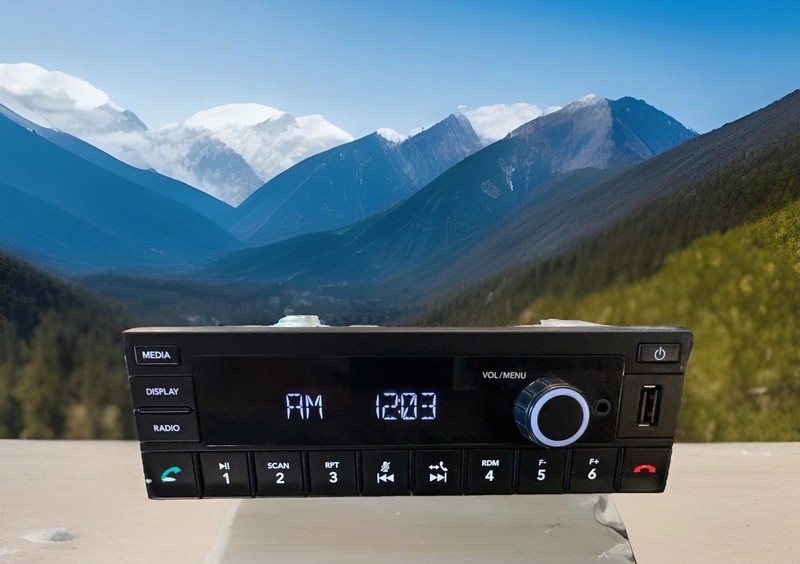 ✅ 2021 INTERNATIONAL LT RADIO AM/FM/BLUETOOTH 4154492C1 OEM ✅