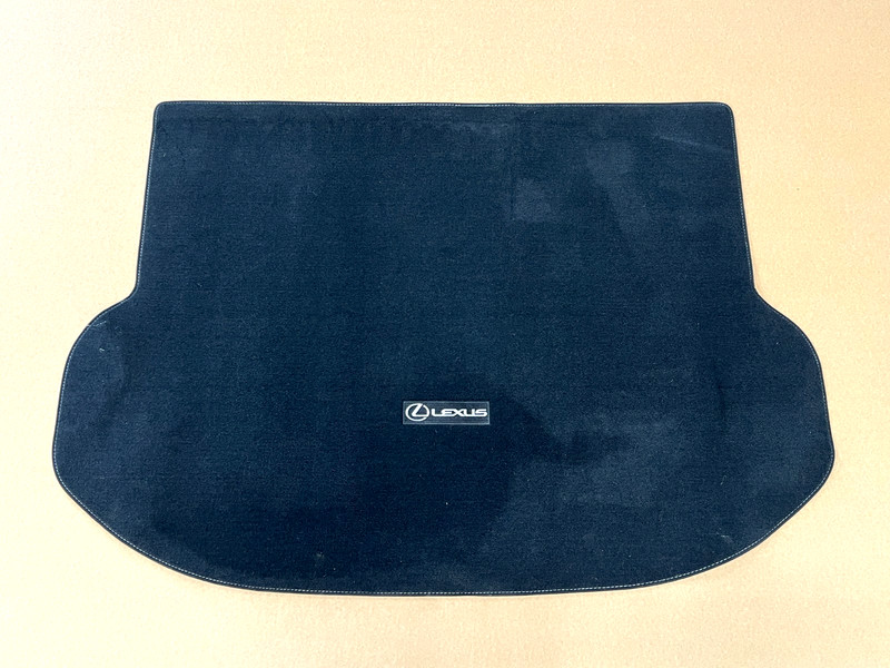 ⭐2015-2021 LEXUS NX200T REAR TRUNK CARGO FLOOR CARPET MAT COVER ASSY OEM LOT2637