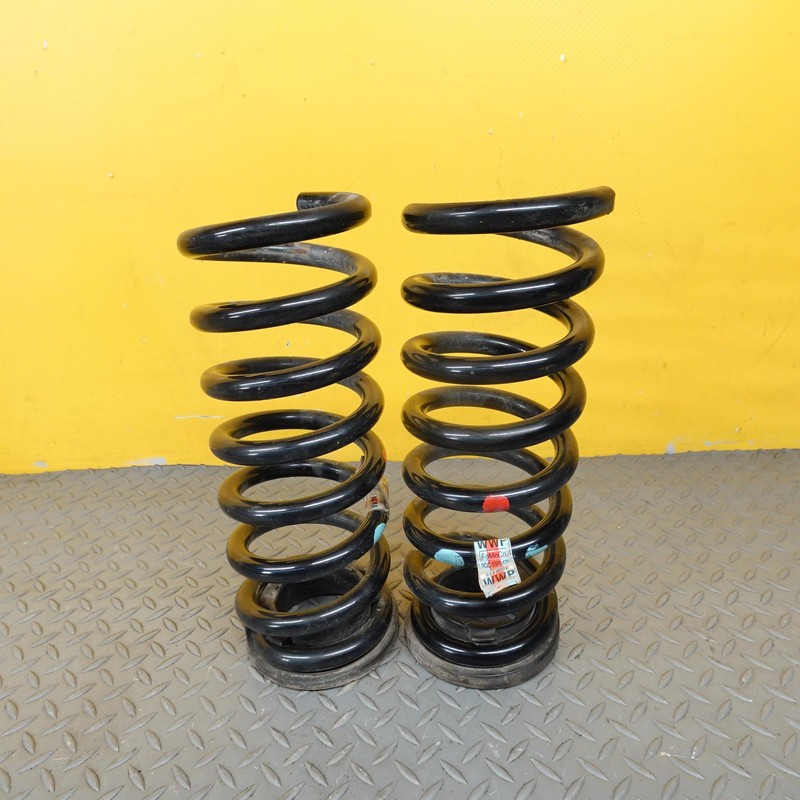2015-2024 FORD EDGE REAR LEFT & RIGHT COIL SPRING ABSORBER SET X2 L2GC5560CNA