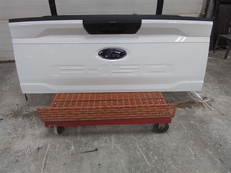 F1502022 Trunk/Hatch/Tailgate 3125562