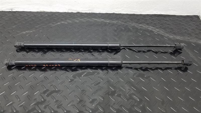 01-07 Ford Escape Liftgate Support Struts Pair OEM YL8Z-78406A11-AA