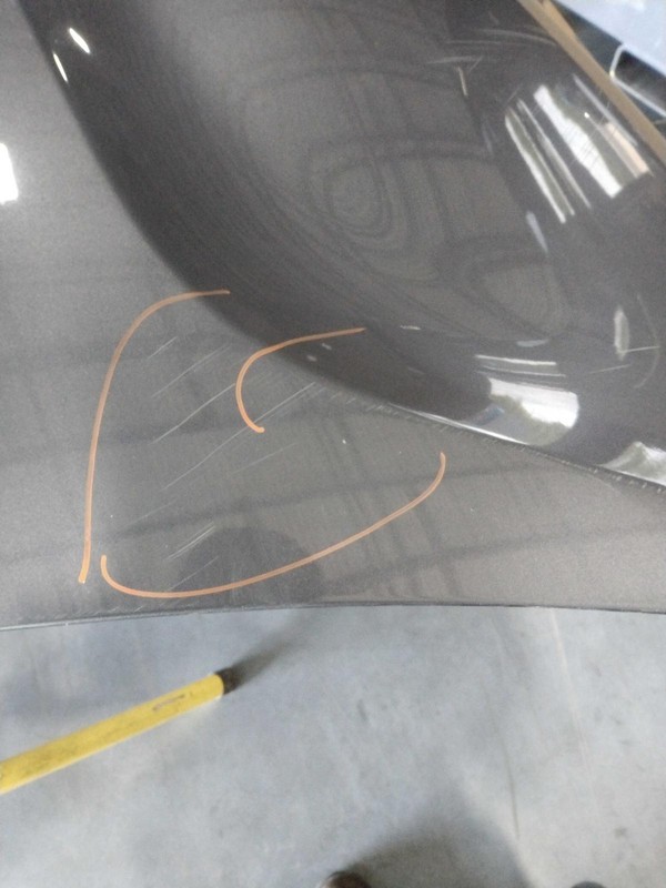2019 Honda Odyssey OEM Grey Hood Panel 43K Mi FWD 3.5L Genuine Part