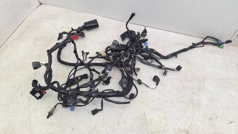 24-25 KAWASAKI NINJA 500 EX500 MAIN ENGINE WIRING HARNESS MOTOR WIRE LOOM OEM