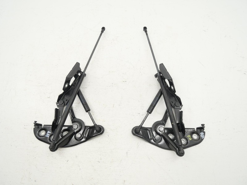 2005 Bentley Continental GT Front Hood Hinge Set Left/Right Bonnet LH/RH OEM