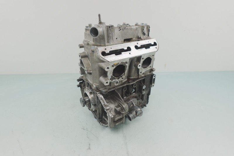 2017-2024 Ski-Doo Renegade Adrenaline 850 E-TEC (OEM) Snowmobile Engine Motor