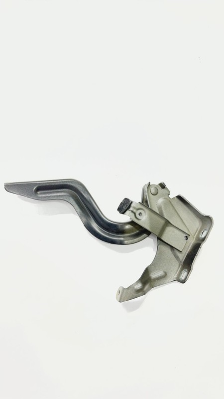 2019-2023 Nissan Kicks Left Driver Side LH Hood Hinge OEM