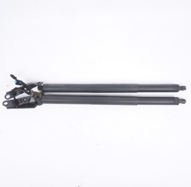 2018-2022 BMW X2 TAILGATE LEFT AND RIGHT POWER LIFT CYLINDER STRUT OEM