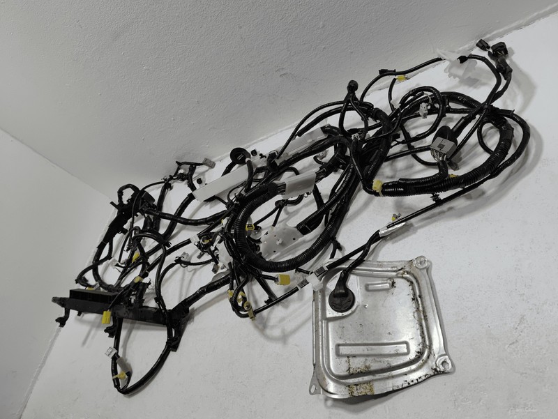 2019 Honda Civic 1.5L Sedan Floor Wire Harness OEM