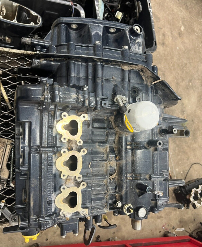 Evinrude 50 hp 4-Stroke Engine Longblock 5031301 FRESHWATER