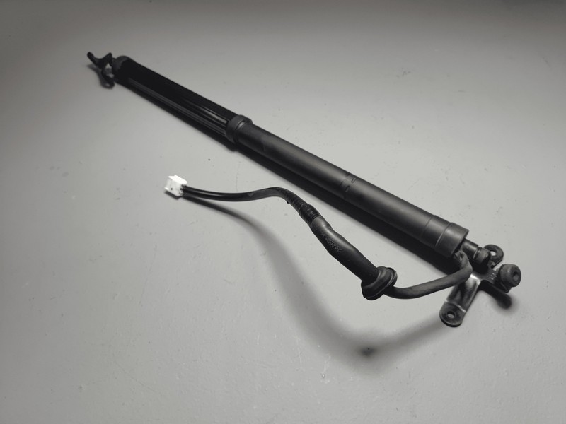 2019-2024 Toyota RAV4 Rear Passenger Side Liftgate Shock Strut Lift Support OEM