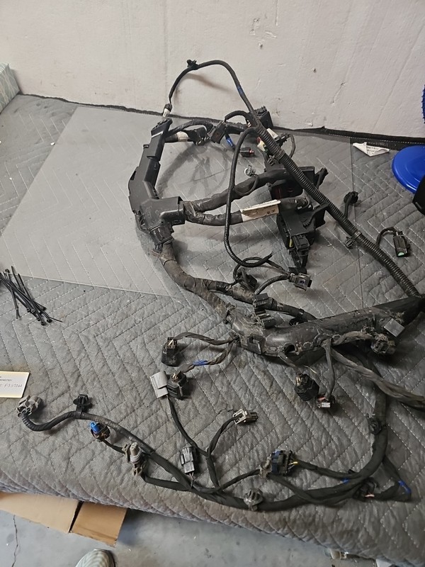 2017 2018 2019 HYUNDAI ELANTRA ENGINE WIRE HARNESS 2.0L SEDAN U.S. 91435F3080AA