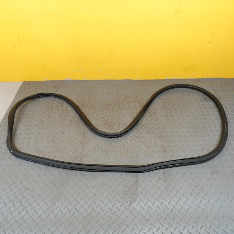 2021-2024 BUICK ENVISION REAR LEFT DRIVER SIDE DOORWAY WEATHERSTRIP SEAL OEM