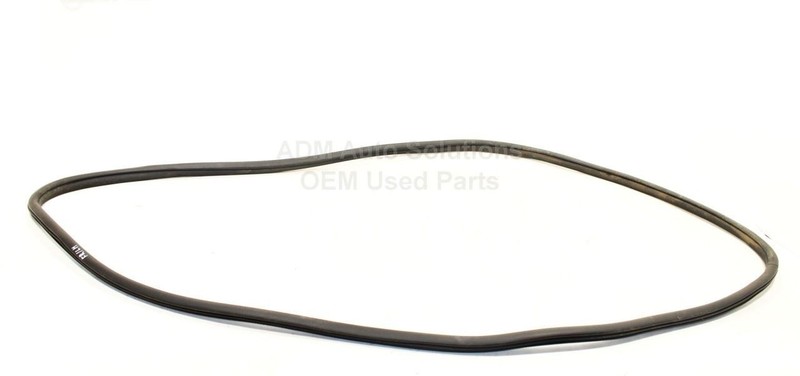 2019 - 2024 RAM 1500 FRONT LEFT DRIVER SIDE DOOR WEATHERSTRIP SEAL ON BODY OEM