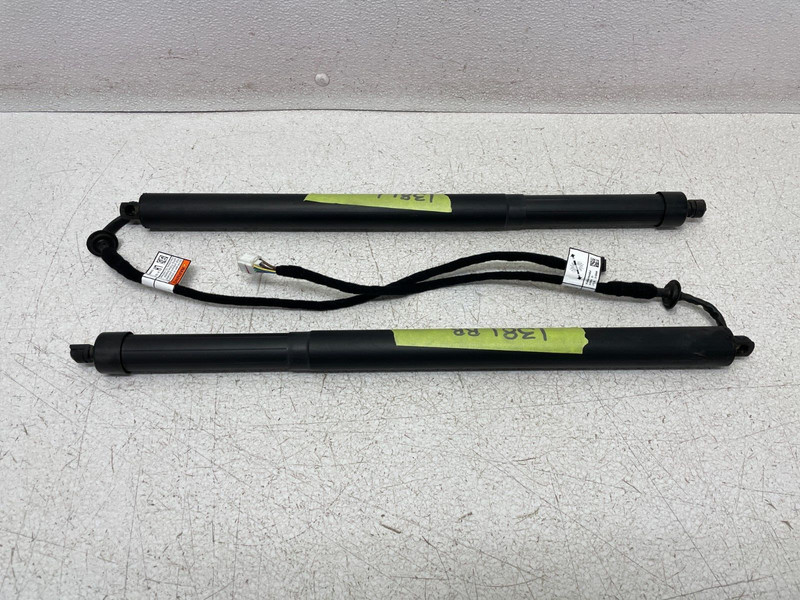 15-19 Land Rover Discovery Sport Left & Right Trunk Shock Strut Set 1381 OEM