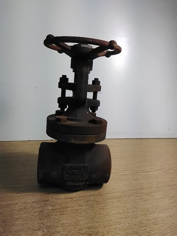 Bonney Forge Valve Gate 2" 800 A105N HL 11