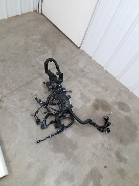ODYSSEY 2008 Engine Wire Harness 243820