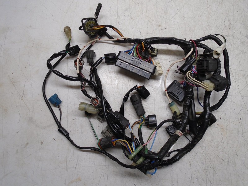 F6 OMC Johnson Evinrude 50 HP 4 Stroke Wire Harness Cable Assembly 5031476