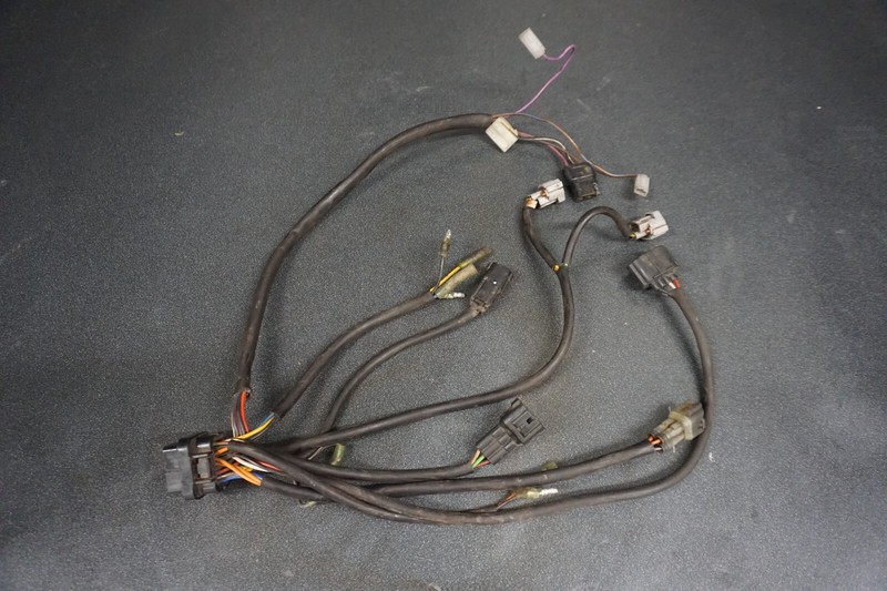 2002-2004 Arctic Cat OEM ECU Wiring Harness Mountain Cat Pantera ZR 800 EFI