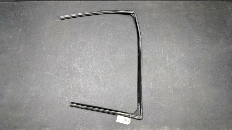 Left Front Glass Run Channel Weatherstrip FN15-N21511 2018 Ford EcoSport 2019-23