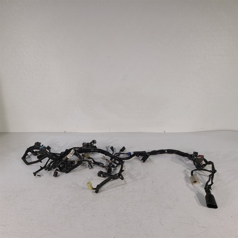 2021 Kawasaki Z900 Main Wiring Harness PS1013