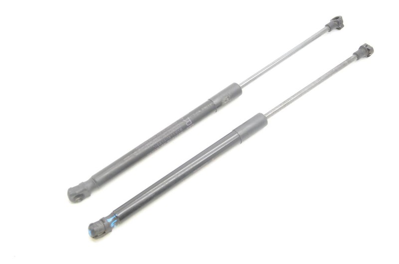 10-24 Toyota 4Runner Left and Right Front Hood Struts 53440-0W230