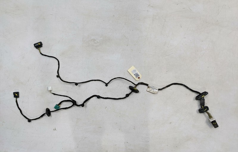 Rear Left Door Wiring Harness 2018 Ford Ecosport SE GN15-14633-DCD 2019 2020