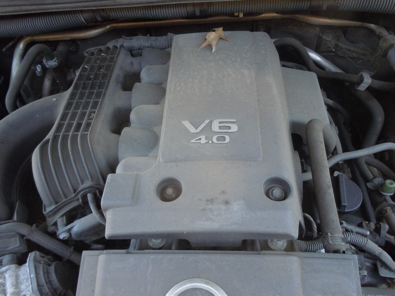 2005-2012 Nissan Pathfinder 4.0L Engine Appearance Cover Panel OEM