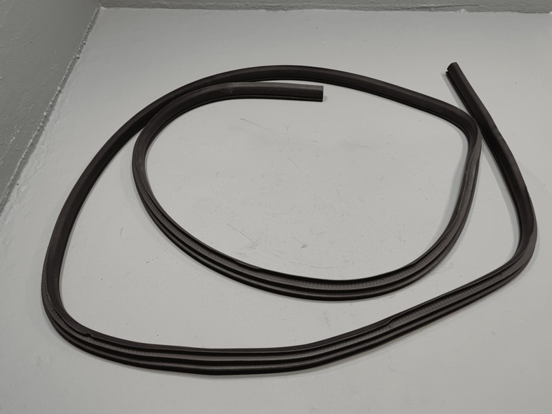 2021-2025 Nissan RogueFront Right or Left Door Body Weatherstrip Seal OEM