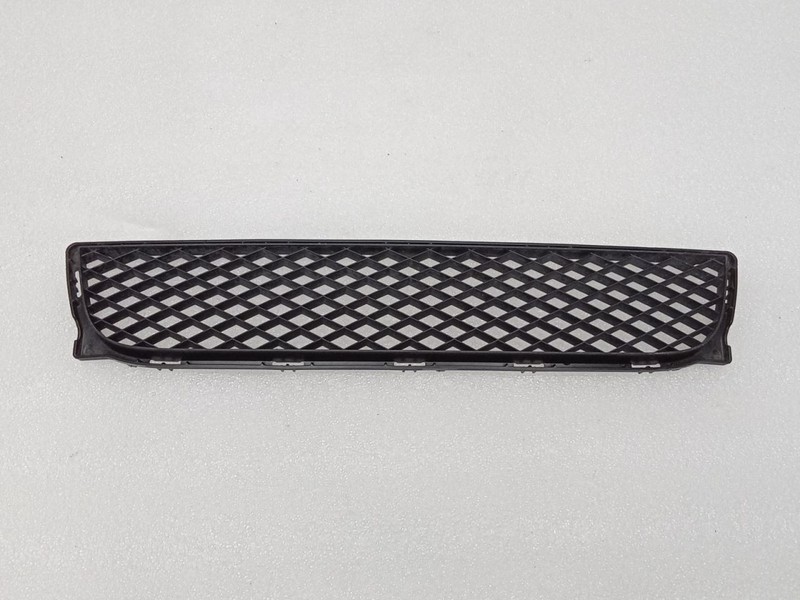 Grille Electric EV Lower Without Fog Lamps Fits 08-16 SMART 53506