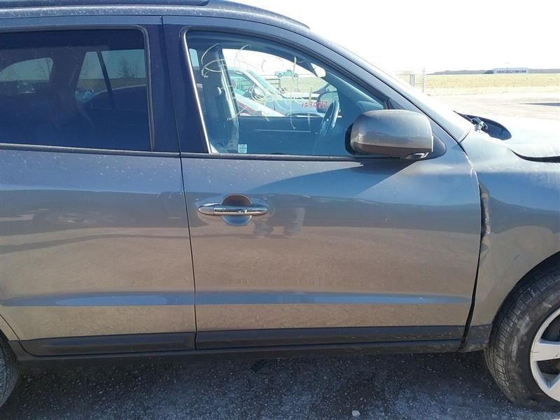 Passenger Right Front Door Fits 07-09 SANTA FE 2488447