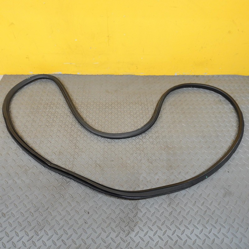 2021-2024 BUICK ENVISION REAR RIGHT PASSENGER SIDE DOORWAY WEATHERSTRIP SEAL OEM
