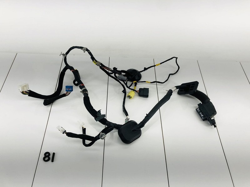 19-21 HYUNDAI TUCSON FRONT LEFT DRIVER SIDE DOOR WIRE WIRING HARNESS OEM