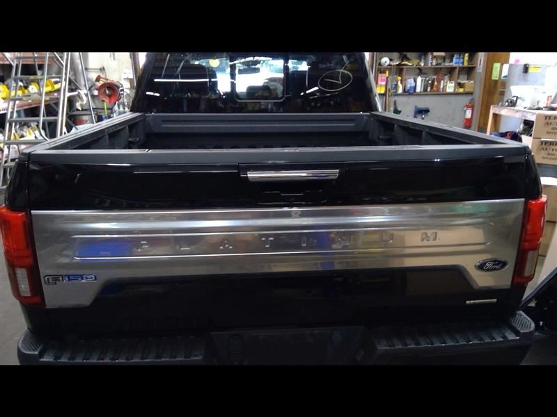 Tailgate End gate Black Rear View Camera Fits 18-20 FORD F150 916161