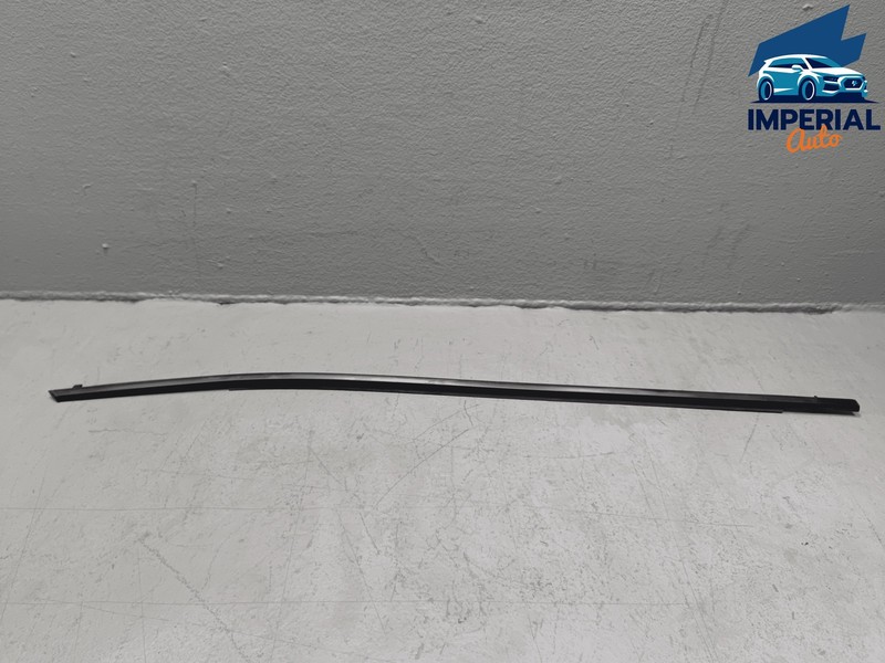 19-25 Toyota RAV4 Front Right Passenger Side Door Window Belt Outer Molding OEM