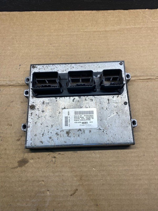 2006 Lincoln Navigator 5.4L Engine Control Unit ECU OEM AD3415 DG