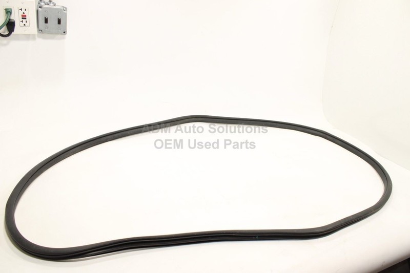 2019-2025 RAM 1500 5th Gen Crew Cab Front Left Door Weatherstrip on Body OEM