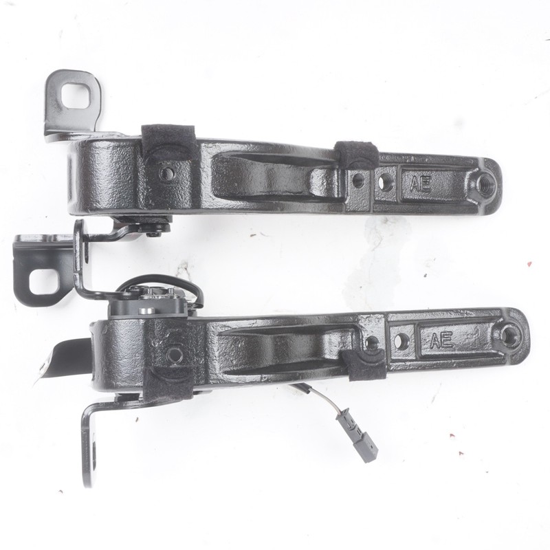 2014 - 2021 BMW i3 i3s I01 TAILGATE LIFTGATE BACK DOOR TRUNK HINGE OEM PAIR