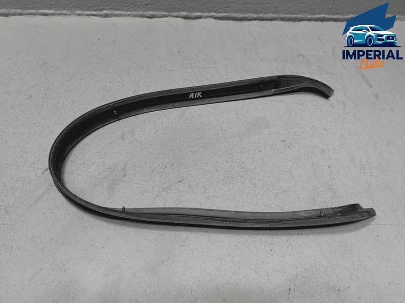 TOYOTA SIENNA REAR PASSENGER SIDE SLIDING DOOR ROOF WEATHERSTRIP OEM 2011-2020