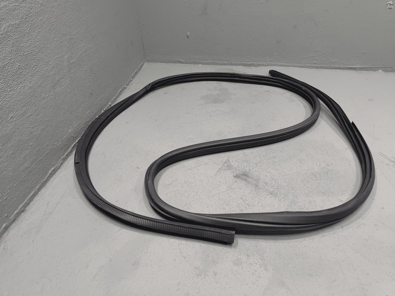 2019-20 Nissan Altima Rear Passenger Side Door Body Inner Weatherstrip Seal OEM
