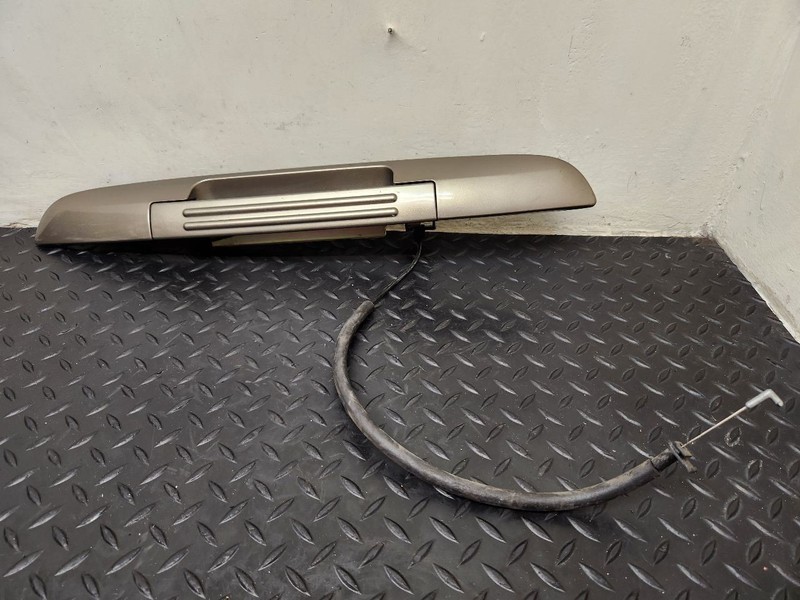 03-06 Ford Expedition Liftgate Tailgate Handle Biege (AQ) OEM 6L1Z-7843400-BKPTM