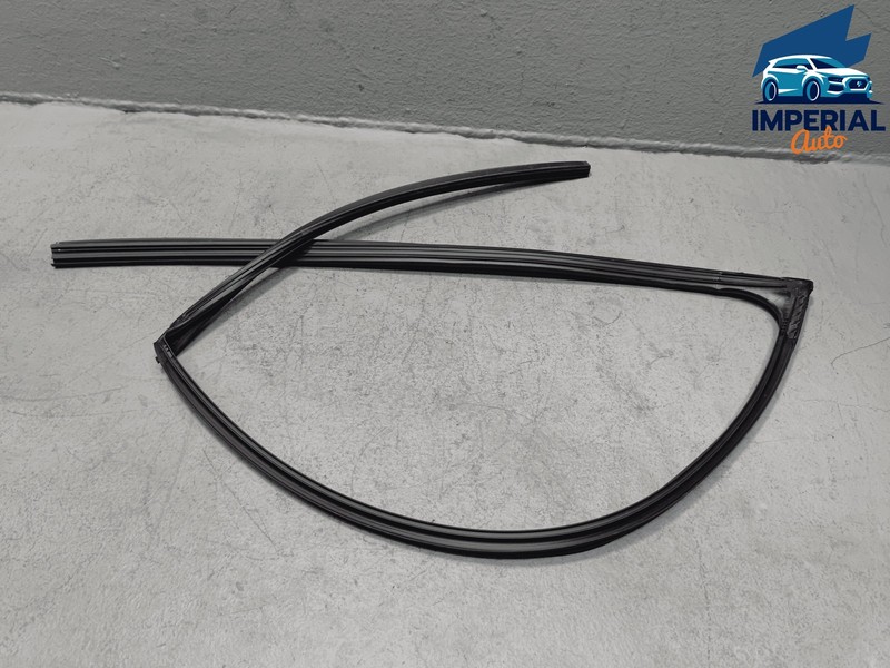 2019-2025 Toyota RAV4 Front Left Driver Door Window Glass Run Channel Seal OEM