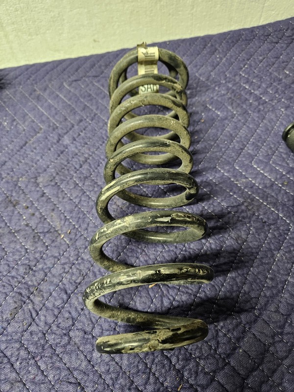 2005 - 2009 Ford Mustang Rear Coil Spring OEM