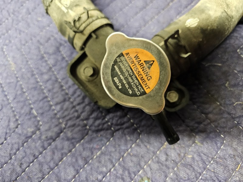 2019 Nissan Sentra 1.8L Coolant Radiator Hose