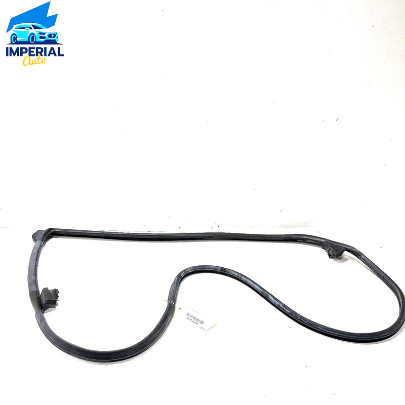 2018 - 2023 TOYOTA CAMRY REAR RIGHT PASSENGER SIDE DOOR WEATHERSTRIP SEAL OEM