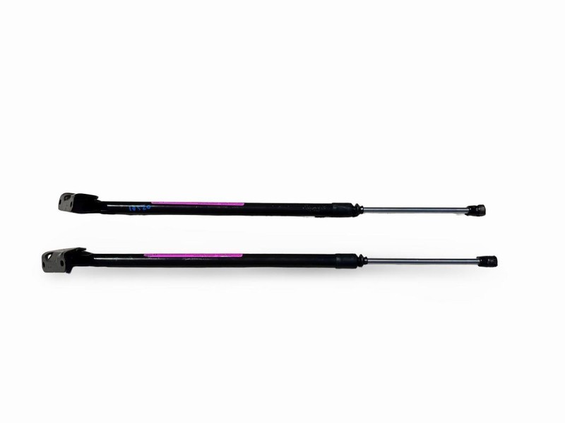 2019-2022 Honda Passport Liftgate Lift Support Shock Strut Set Of 2