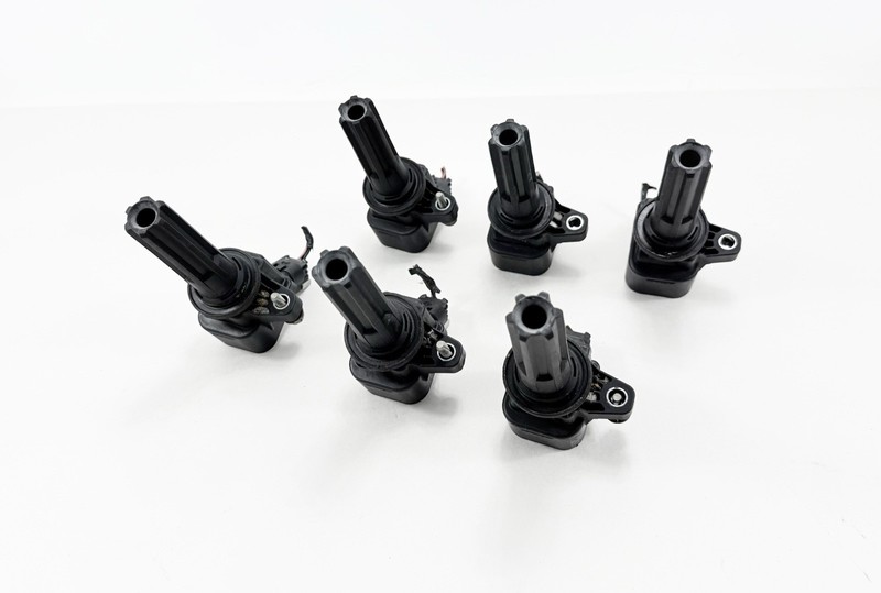 2006-2009 Chevrolet Trailblazer 4.2L Ignition Coils Set of 6 12612369 OEM
